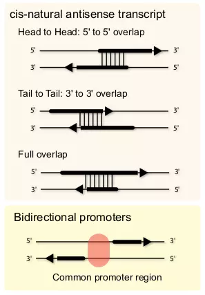 Figure 3.4