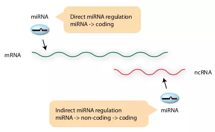 Figure 3.5