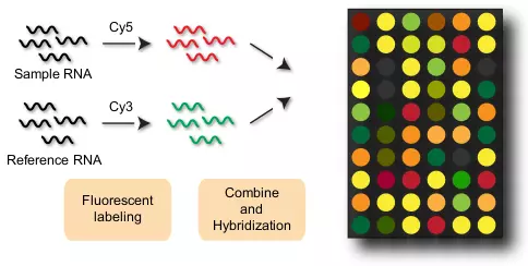 Figure 4.1
