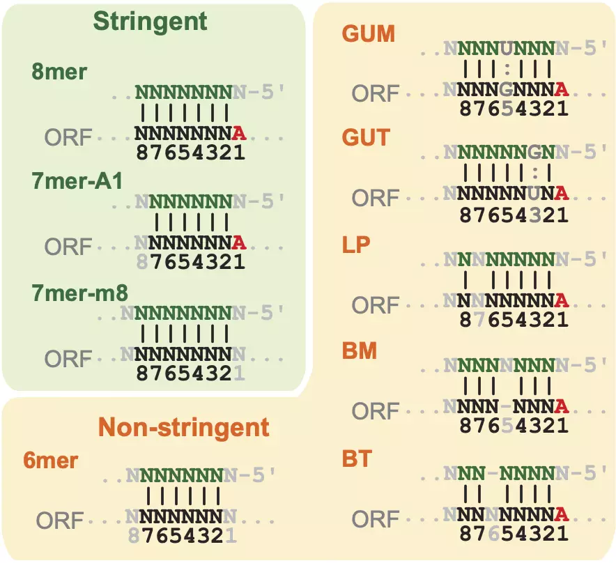 Figure 3.3